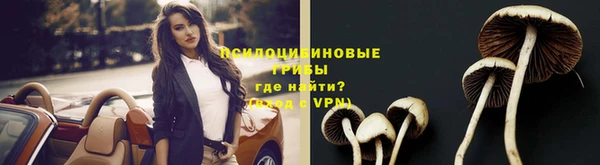 a pvp Нея