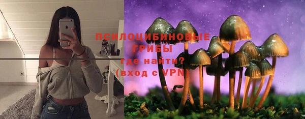 СК Нефтегорск